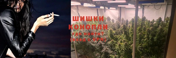 индика Арсеньев