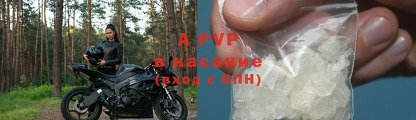 индика Арсеньев