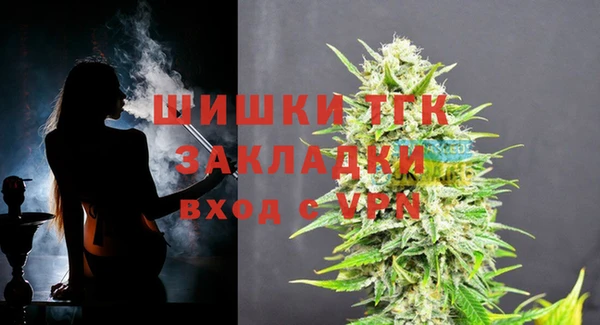 индика Арсеньев