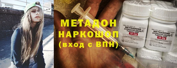 индика Арсеньев