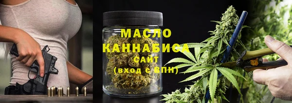 индика Арсеньев