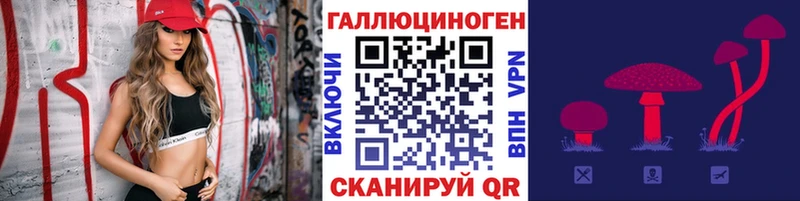 mega ССЫЛКА  Свирск  Псилоцибиновые грибы Psilocybe 