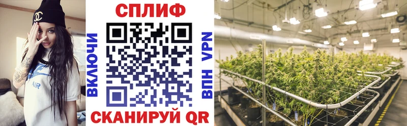 мориарти формула  дарнет шоп  Свирск  Марихуана THC 21% 